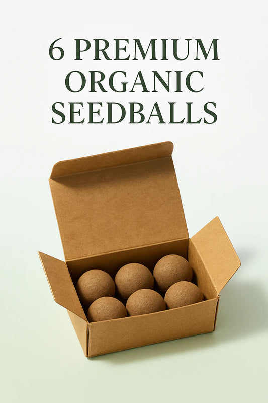 SeedBalls – Pack of 6