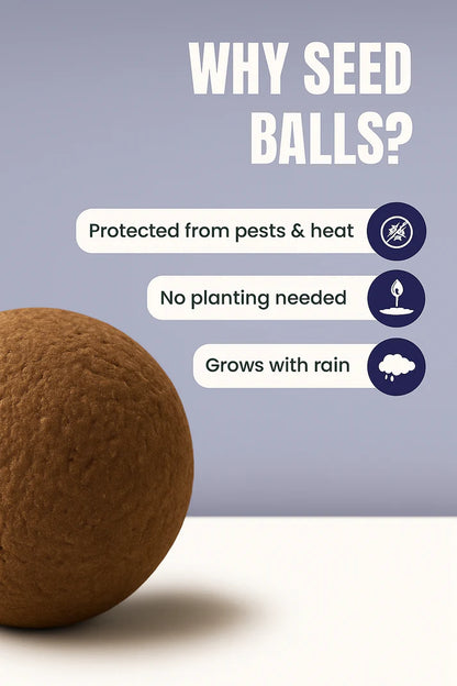SeedBalls – Pack of 6
