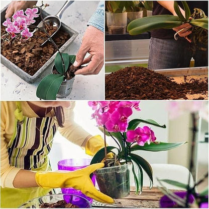 Orchid Potting Mixture - Orchid Plants Ready to Use 350gm